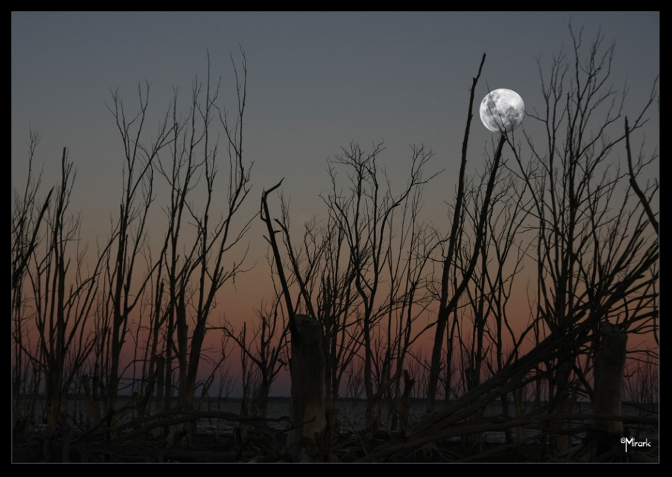 "Epecun y la luna" de Mirta Steinberg