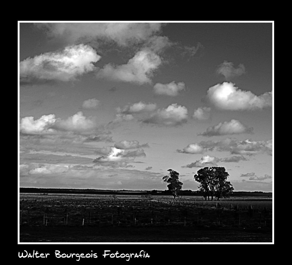 "Nubes..." de Walter Bourgeois