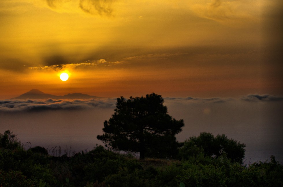 "AMANECER EN EL PINAR EL HIERRO" de Jose Luis Rguez