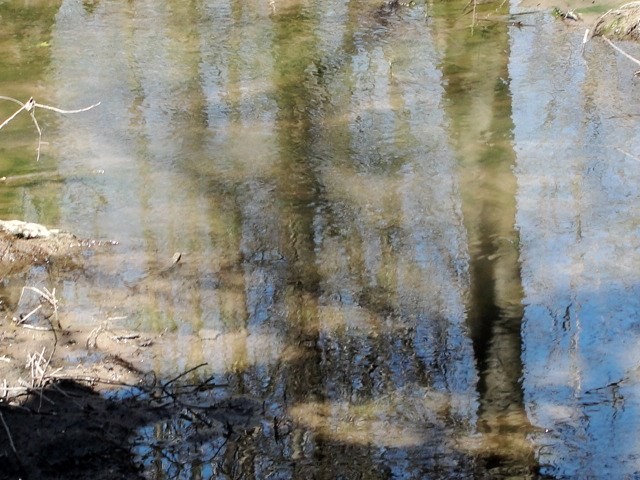 "Reflejo en el arroyo" de Ricardo Lagrange