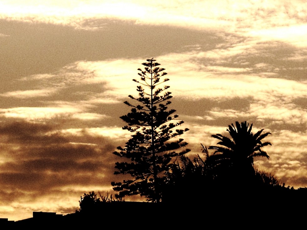 "amanecer radiante" de Urich Surick