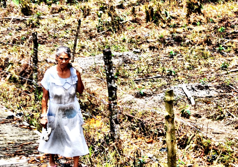 "La Viejita y su Eterno Caminar" de Monica Cadenas