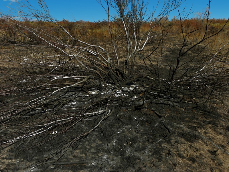 "Despues del fuego, la soledad" de Ricardo Cascio