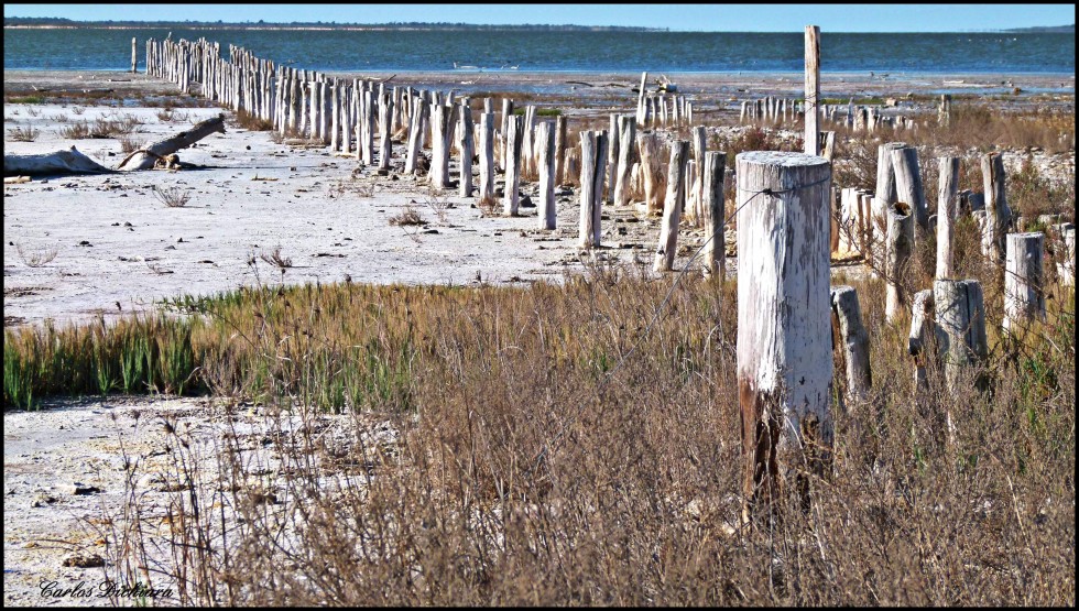 "Laguna los Palitos" de Carlos Dichiara