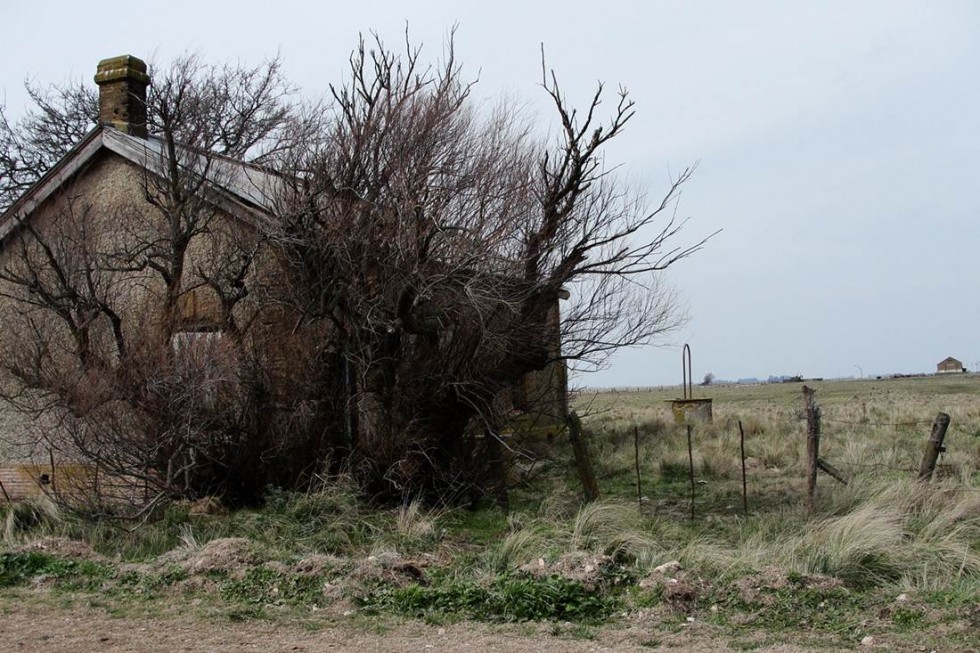 "El paso del tiempo" de Ricardo Lagrange