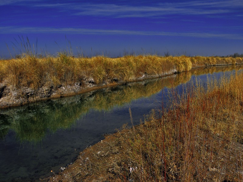 "Arroyo escondido" de Ricardo Cascio