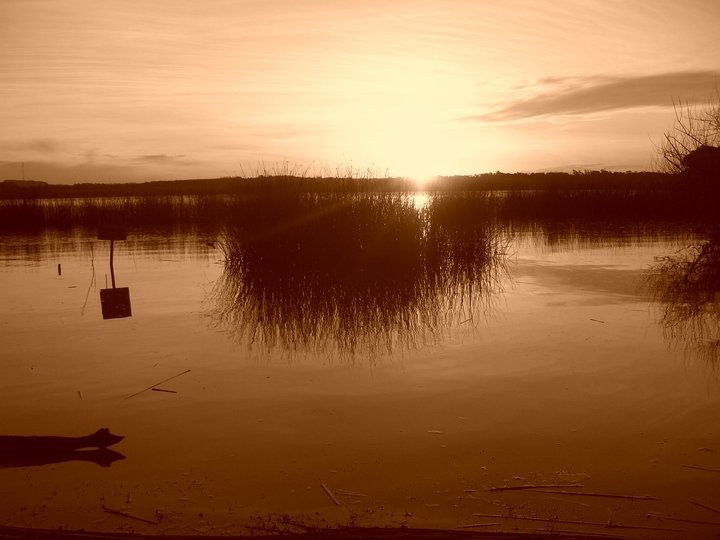 "atardece y es temprano" de Cristian Shmarsow