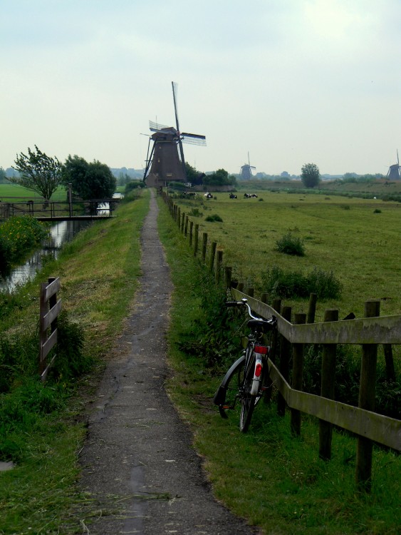 "Imgen de Holanda" de Marta Beatriz Bosque