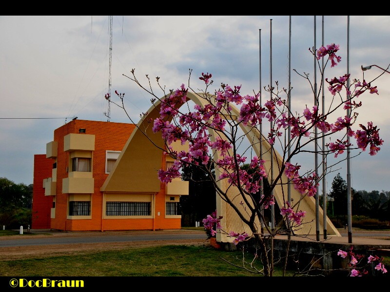 "La primavera se est viniendo 4" de Juan Jos Braun