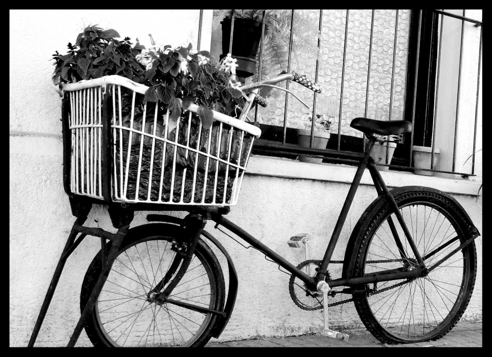 "Bicicleta" de Romina Rodriguez