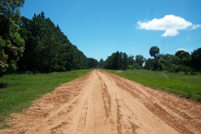 "camino solitario" de Daniel Alberto Prez