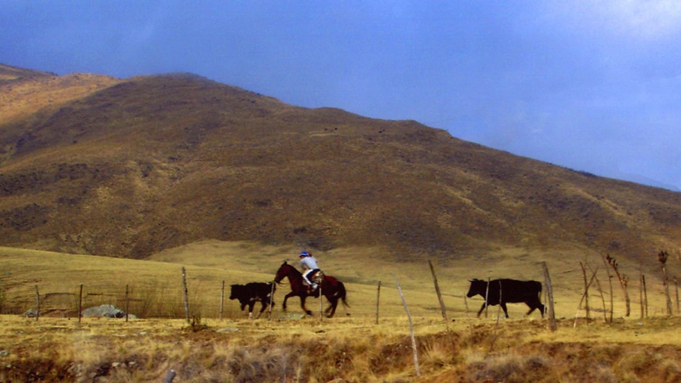 "Tucumn rural" de Alberto Jara