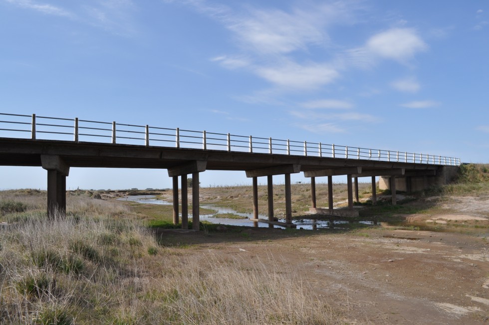 "Por el puente" de Maria Julieta Carlomagno