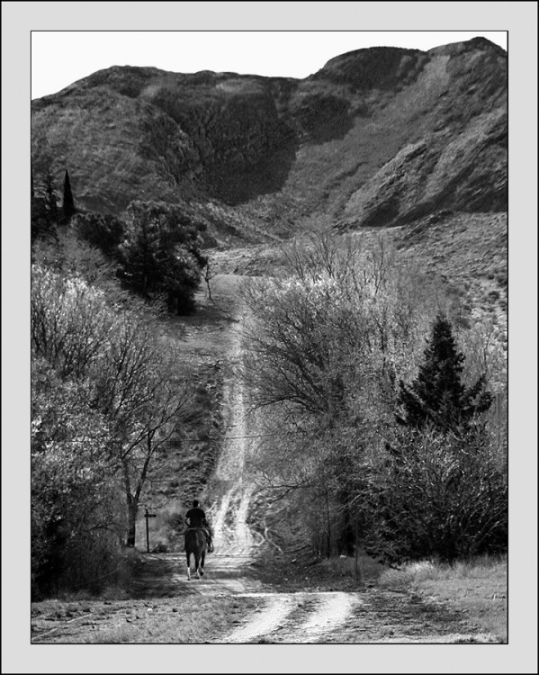 "Un camino largo que va... y que se pierde" de Eli - Elisabet Ferrari