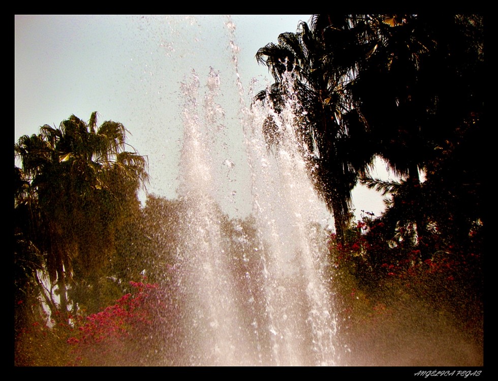 "DANZA DE LA AGUA. (EN PARQUE)" de Anglica Pegas