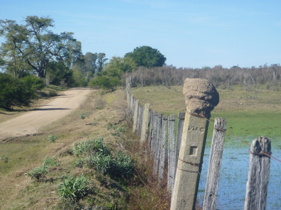 "A un lado del camino..." de Agustn Lema