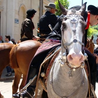 "de fiesta" de Amparo Josefina Maggi