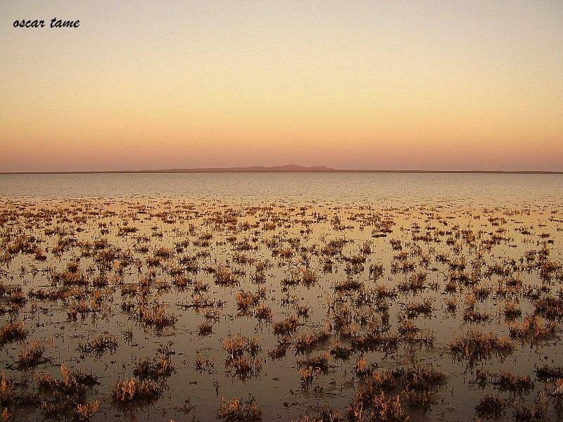 "Atardecer pampeano II..." de Oscar Tame