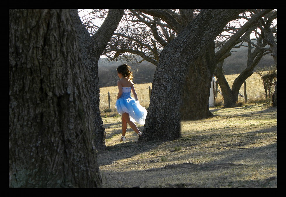 "La princesa del bosque" de Javier Adam