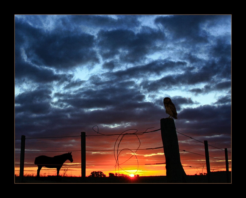 "Atardecer campero" de Eli - Elisabet Ferrari