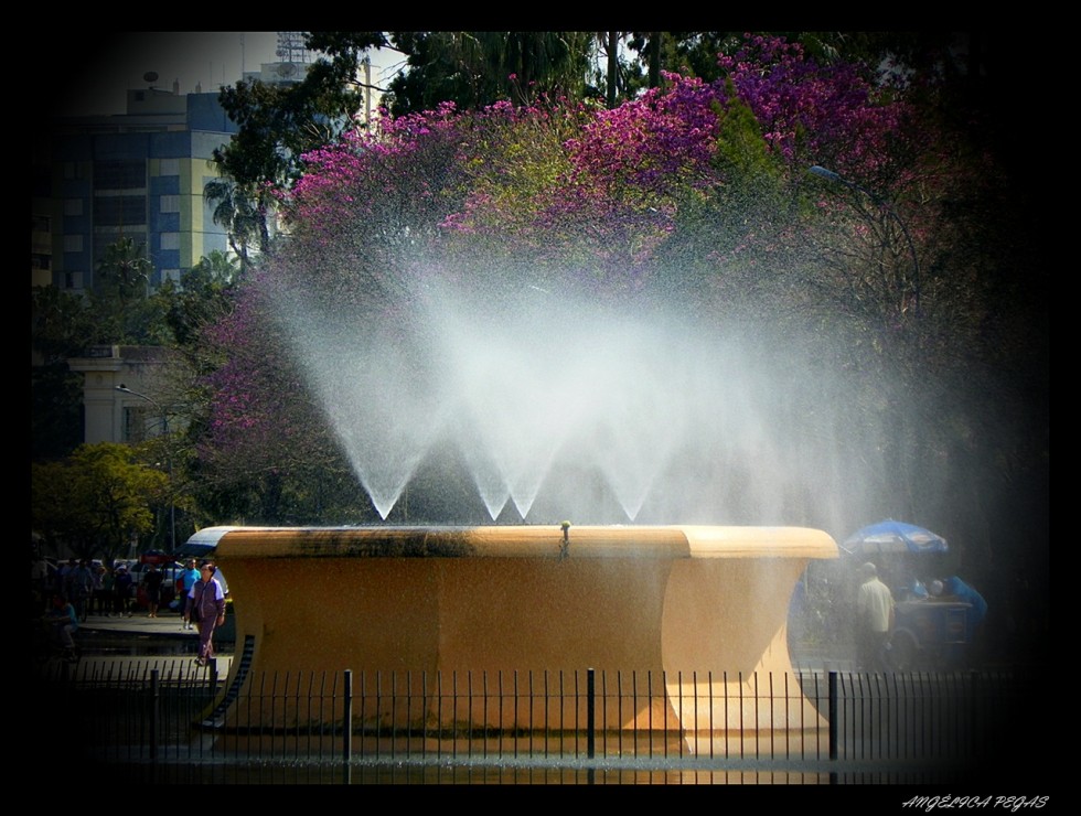 "Sol Y Agua.." de Anglica Pegas