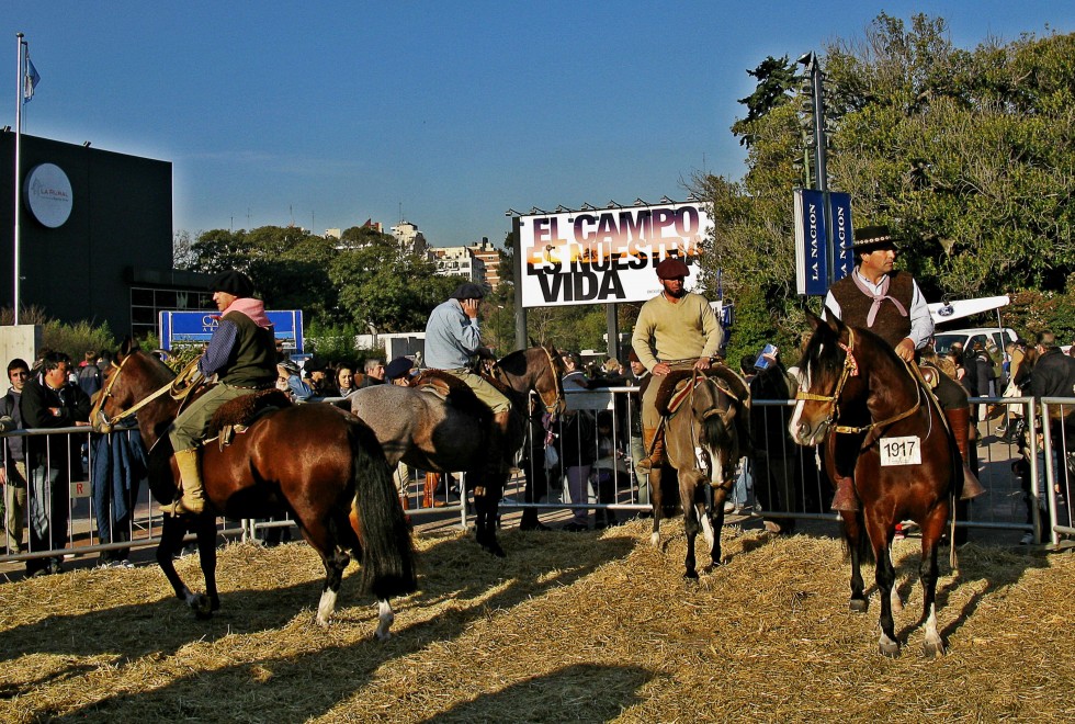 "Parecen caballos" de Jorge Zanguitu Fernandez