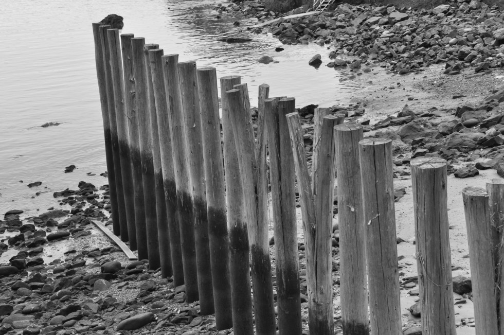 "Madera Y Agua: Lineas en el Mar......" de Carmen Esteban