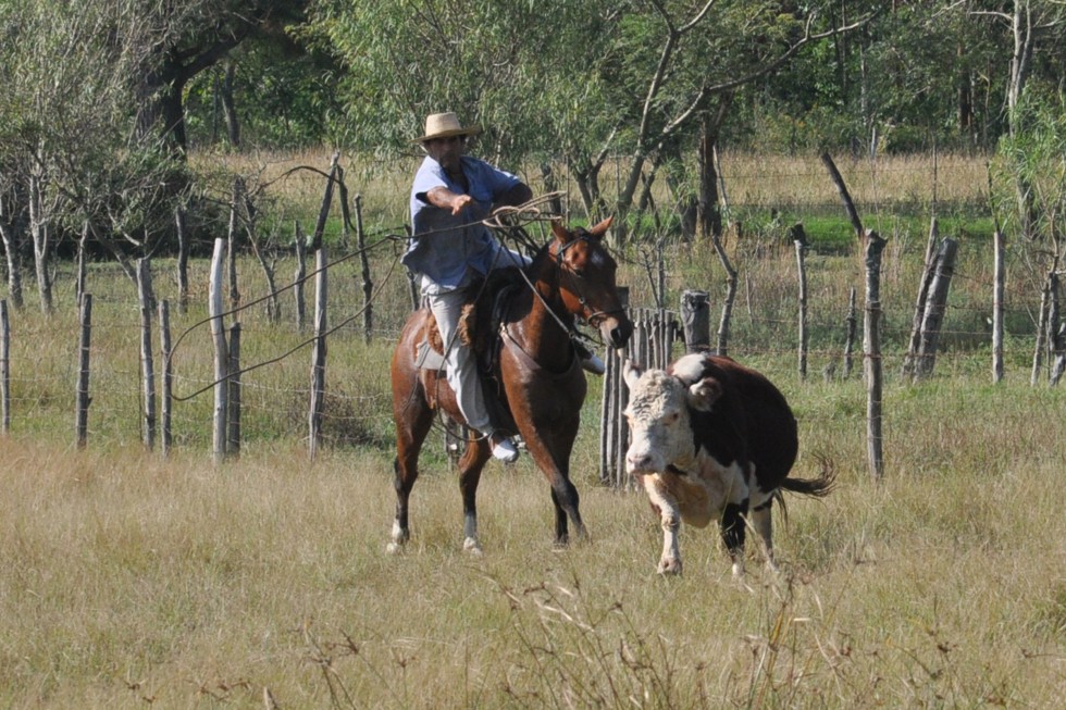 "Con Aire de Campo" de Laura Verdun