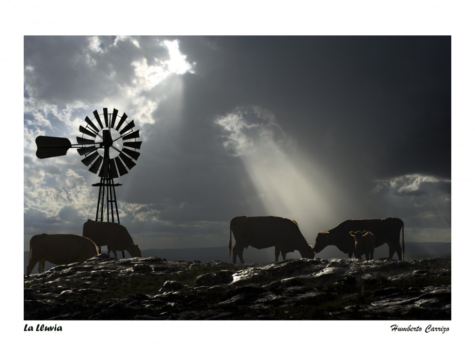 "La Lluvia" de Humberto Nicols Carrizo