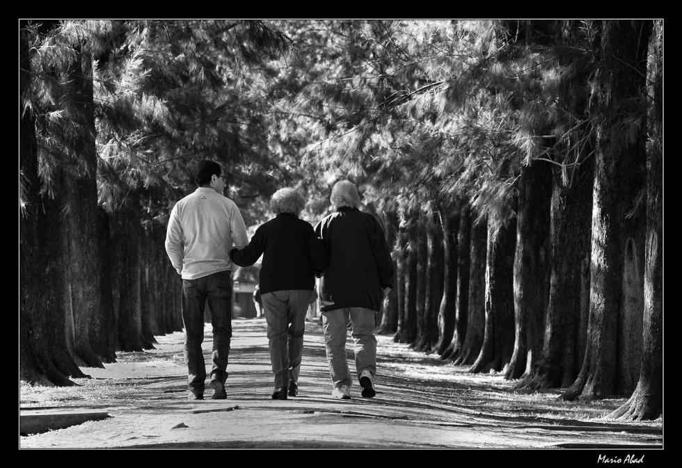 "Del brazo de afectos..." de Mario Abad