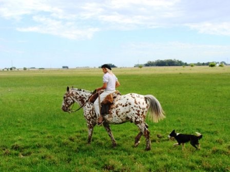 "de a caballo" de Amparo Josefina Maggi