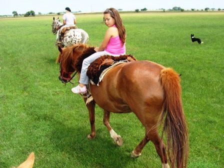 "a cabalgar" de Amparo Josefina Maggi