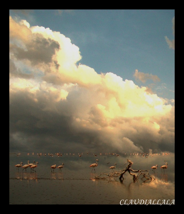 "Tormenta sobre la laguna" de Claudia Alejandra Allala