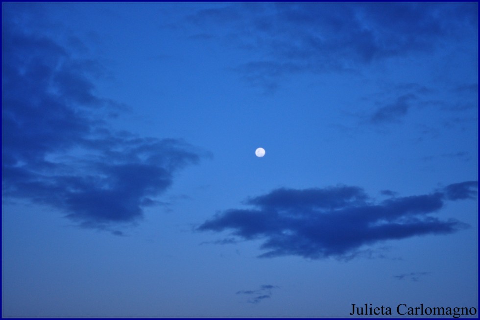 "La luna junto a ti `" de Maria Julieta Carlomagno