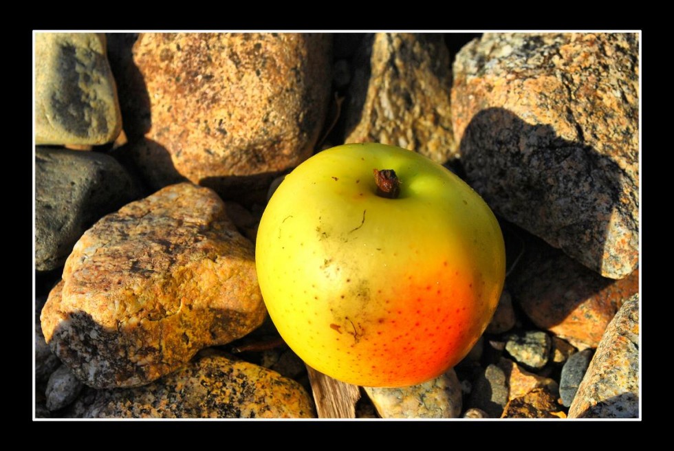 "PARA LA TARTA DE MANZANA" de Paola Segade