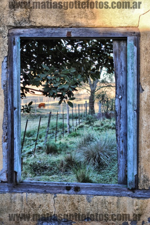 "Cuadro de Ventana..." de Matias Gotte