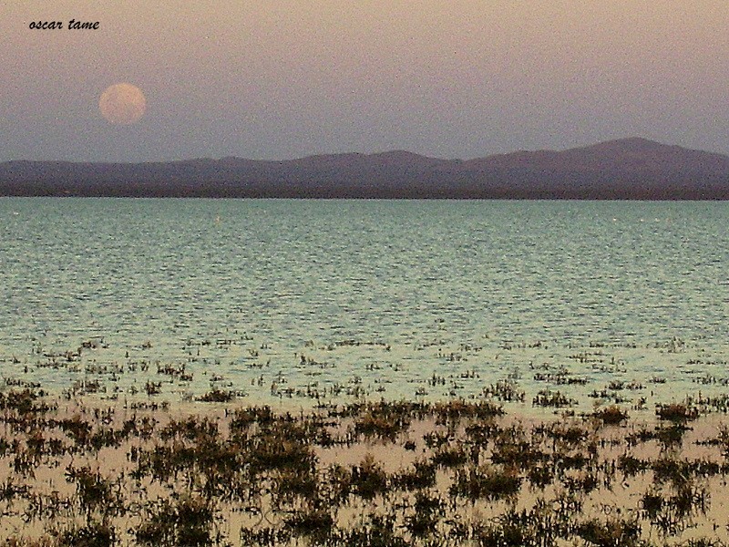 "Atardecer pampeano II..." de Oscar Tame