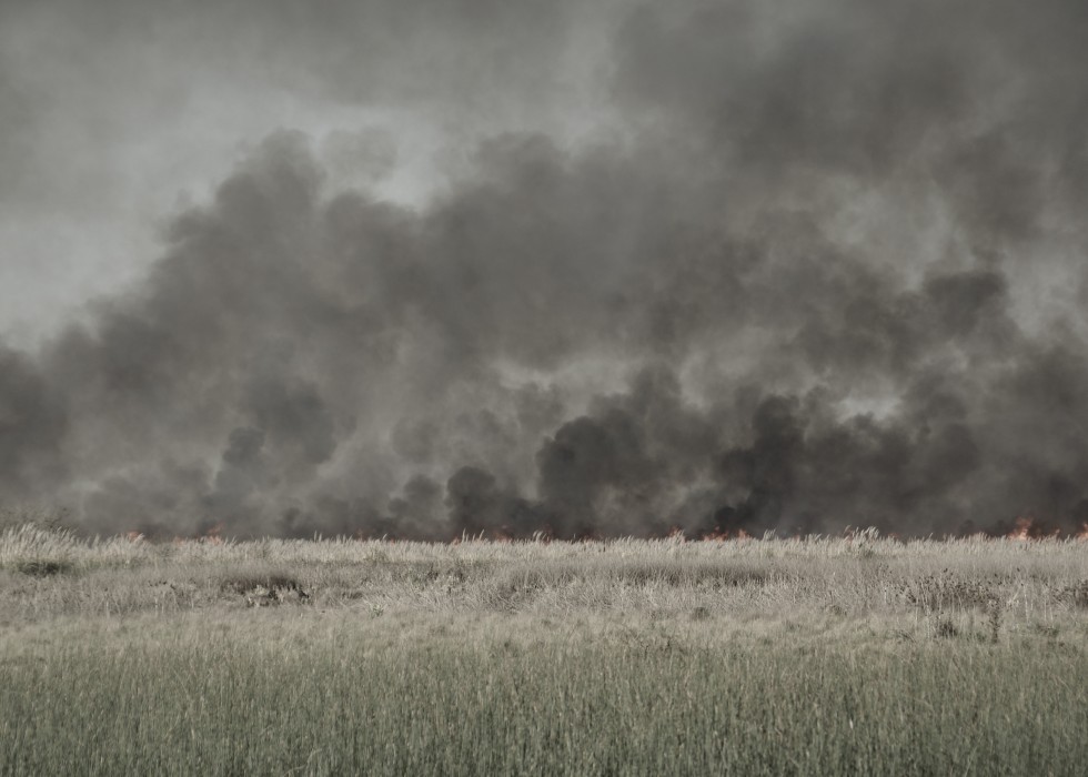 "Incendio en la Reserva Otamendi" de Ricardo Alfredo Borthwick