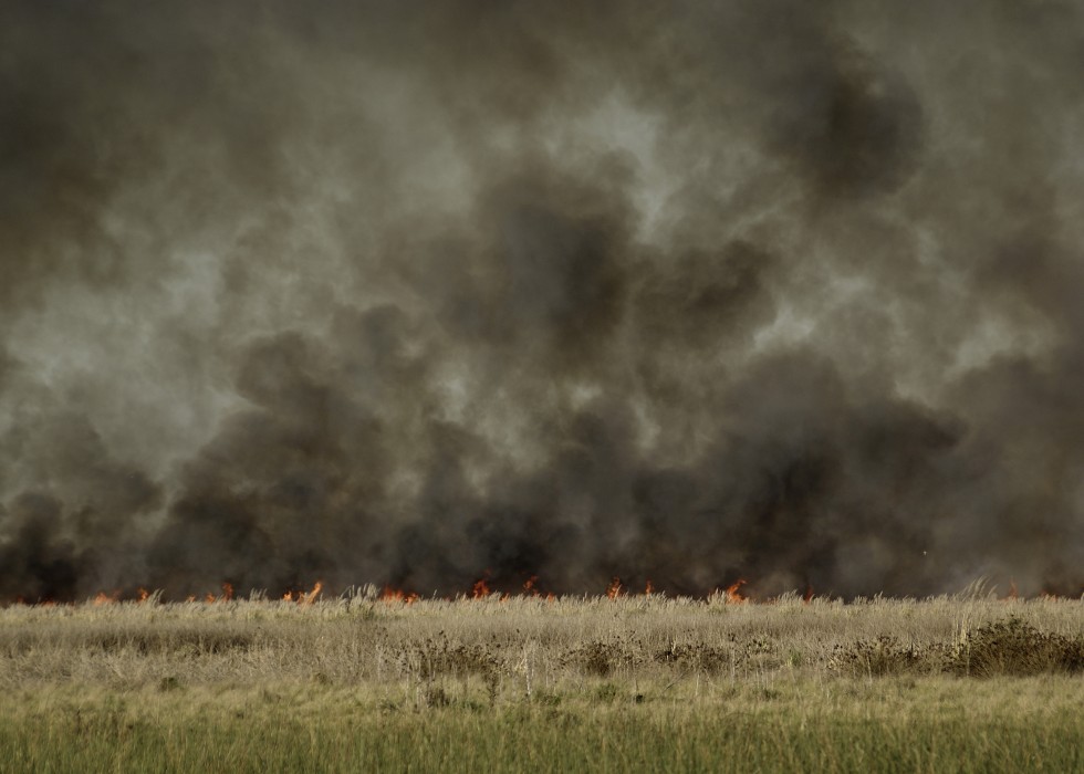 "Incendio en la Reserva Otamendi III" de Ricardo Alfredo Borthwick