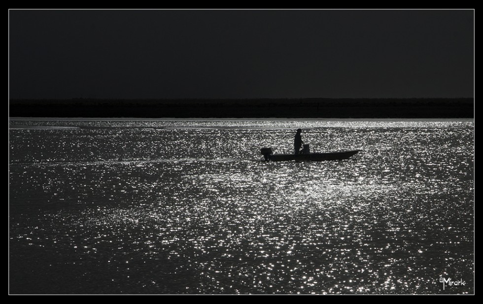 "Pescando brillos" de Mirta Steinberg