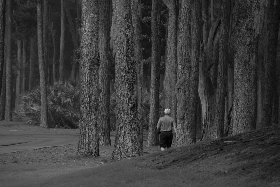 "Caminando por el bosque" de Ricardo Alfredo Borthwick
