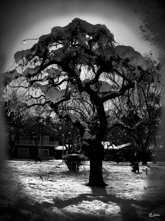 "Nieve...contraluz..." de Andrea Ramos