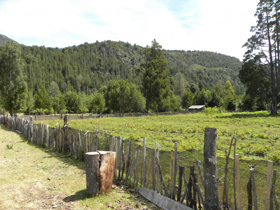 "la chacra" de Juan Francisco Arrachea