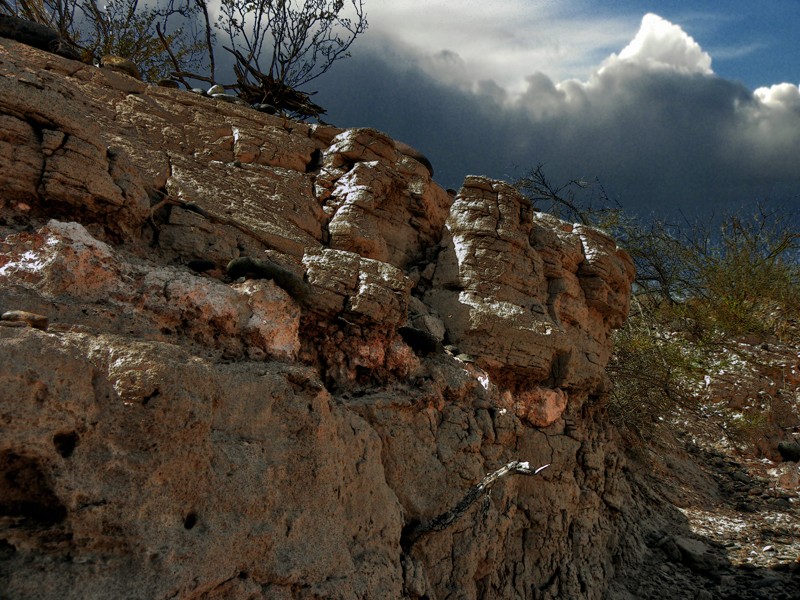 "Los Terrones 1" de Ricardo Cascio