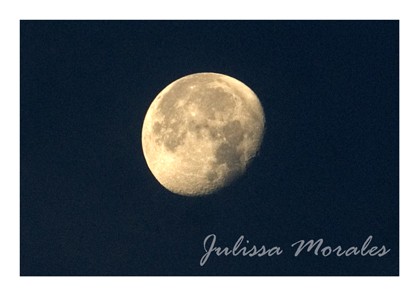 "Luna llena" de Julissa Morales