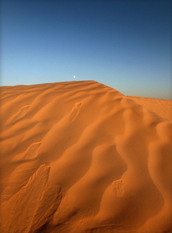"Duna en el desierto del Sahara" de Miguel Vallinas Prieto