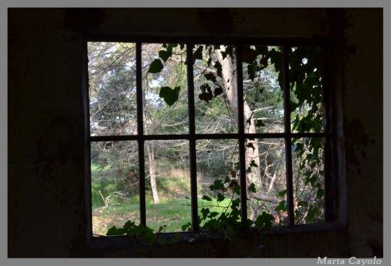 "Aquella ventana......" de Marta Cayolo