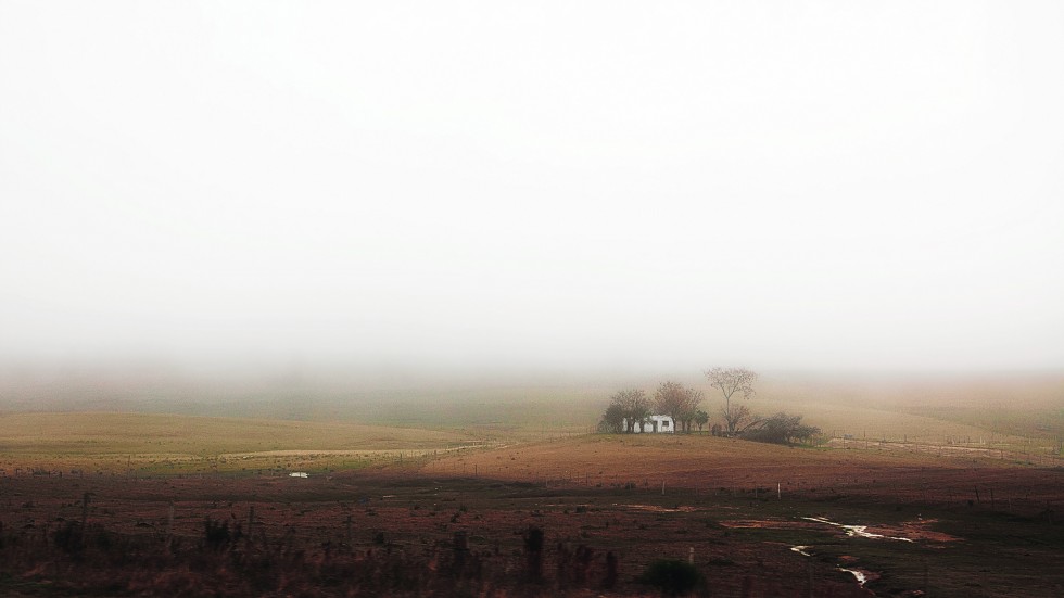 "Maana de niebla (2)" de Arturo Rey