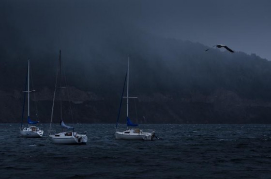 "Lago Lacar" de Eduardo Sagues