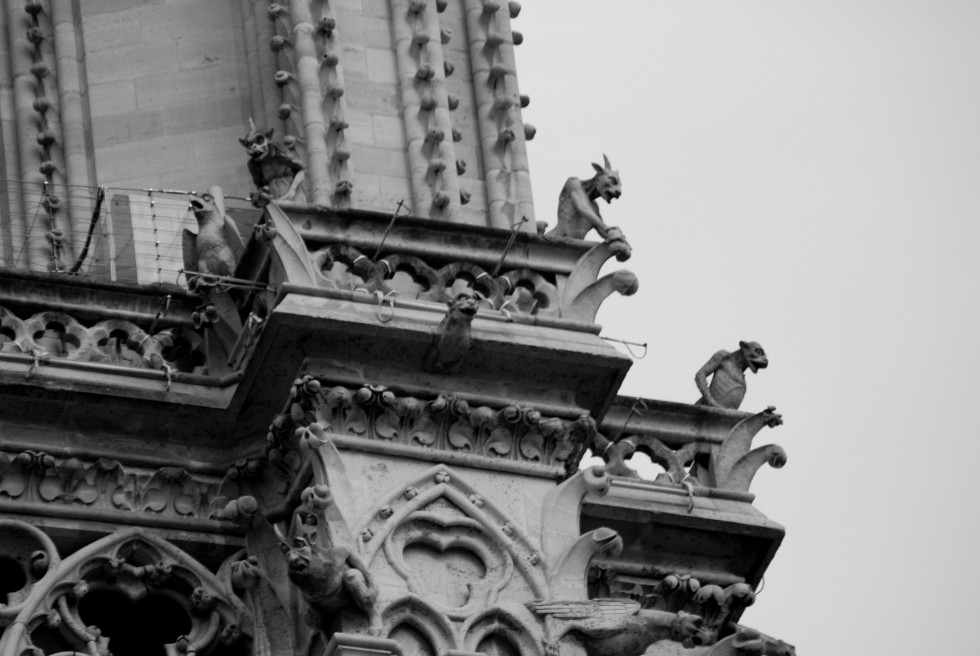 "Los custodios de Notre Dame" de Ricardo Alfredo Borthwick
